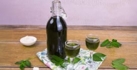 LIQUORE ALLA MENTA: fresco da servire come aperitivo!