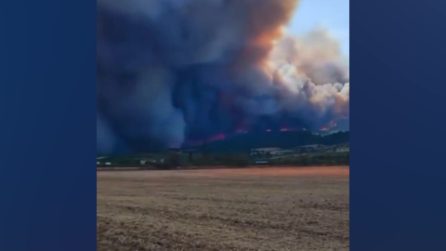 In Francia divampa l'incendio più vasto degli ultimi vent'anni: distrutti oltre 13mila ettari di territorio