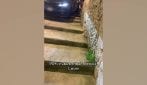 San Felice Circeo, imbocca la scalinata con l'auto e torna indietro in retromarcia sui gradini