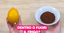 DENTRO O FUORI IL FRIGO?: ecco dove conservare gli alimenti PERFETTAMENTE!