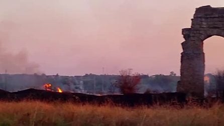 Incendio al Parco degli Acquedotti a Roma, bruciano sterpaglie