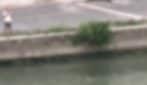 Si getta nel Tevere per suicidarsi, carabinieri si tuffano: il video del salvataggio