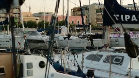 Le rondini nel porto di Gallipoli nel 2024