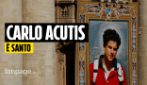 Carlo Acutis proclamaro santo, i fedeli in piazza San Pietro: "Avvicina i ragazzi alla chiesa"