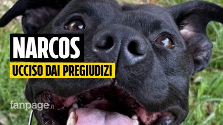 Narcos: ucciso da un poliziotto