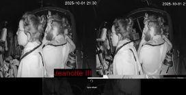 Flotilla, navi Jeanotte III e Meteque abbordatate da Israele, attivisti in diretta con mani alzate