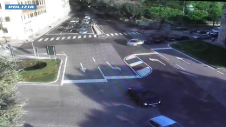 L'arresto del latitante a Verona "tradito" dalla presenza del suo cane