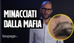 Minaccia mafiosa per la giornalista di Fanpage Giorgia Venturini: la testa mozzata di un capretto davanti casa