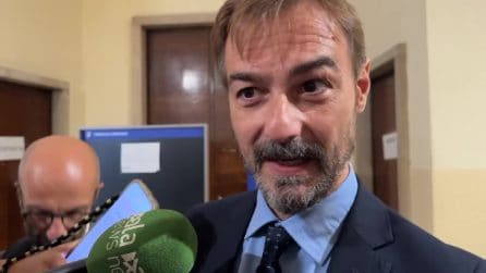 Gli avvocati di Ilaria Salis: "Giusta la decisione sull'immunità, può essere processata in Italia"