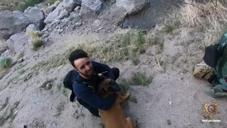 L'incredibile salvataggio in elicottero di un cane ferito