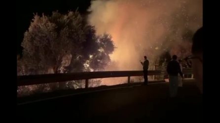 Incendio a Procida, brucia la zona della Panoramica
