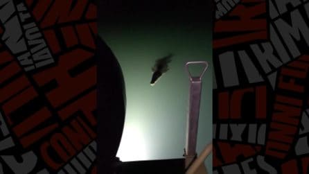 Coccodrilli circondano la barca di un viaggiatore solitario