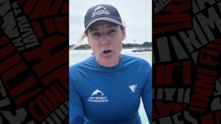 Il salvataggio del cucciolo di delfino in Australia