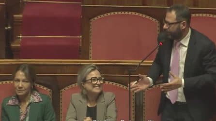 Patuanelli (M5s) ironizza: "Manovra cangiante: da una parte la tassa extraprofitti, dall'altra no"