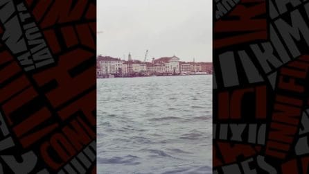 delfino venezia