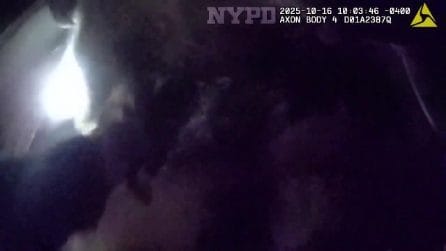 Un cucciolo scappa dall'asilo per cani e resta incastrato nella metropolitana di New York: gli agenti lo salvano