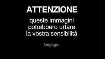 Aereo turistico in Kenya cade poco dopo il decollo, nessun superstite: morti 10 turisti e il pilota