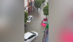Auto sommerse e automobilisti intrappolati: piogge record trasformano Siviglia in un fiume d’acqua