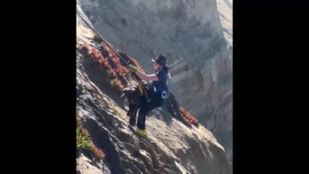 Il salvataggio del cane su una scogliera a San Francisco