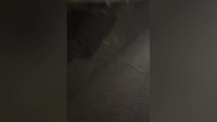 Gruppo di neofascisti aggredisce studenti del Righi occupato: cori per il ‘Duce’ e lancio di oggetti