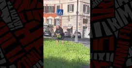 Il video dell'anziana che raccoglie la cicoria in un'aiuola di Roma: "La signora è il mio mito"