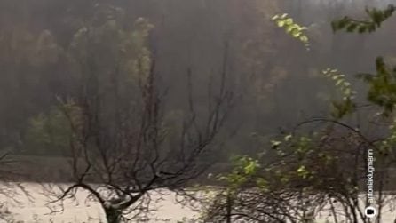 Maltempo in Friuli, frana di fango travolge casa a Cormons. Allagato ristorante di Antonia Klugman