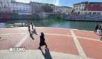 Navigli verdi a Milano, cosa c’è dietro il cambiamento di colore dell'acqua: le foto e i video
