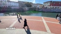 Navigli verdi a Milano, cosa c’è dietro il cambiamento di colore dell'acqua: le foto e i video
