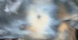 Uccide il cane poliziotto Spike durante un controllo stradale e poi viene ucciso dagli agenti