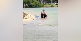 Un uomo forza una tartaruga verde a fare una foto alle Hawaii