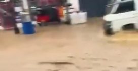 Ciclone Ditwah si abbatte sullo Sri Lanka: terribili inondazioni e decine di morti