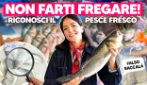 Tutti i SEGRETI per SEGLIERE IL PESCE FRESCO: la GUDIA COMPLETA per NON FARSI FREGARE!