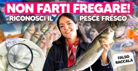 Tutti i SEGRETI per SEGLIERE IL PESCE FRESCO: la GUDIA COMPLETA per NON FARSI FREGARE!