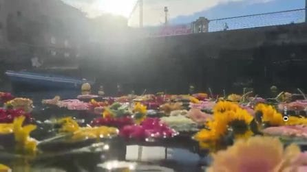 Campi Flegrei, migliaia di fiori gettati nella darsena di Pozzuoli: "Simbolo della lotta al bradisismo"
