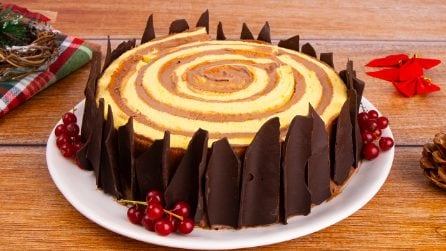 TRONCO DI NATALE: il dolce scenografico da preparare a Natale!