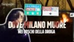 “L'eroina costa 2 euro”: dentro i boschi della droga di Rogoredo e San Donato con le camere nascoste
