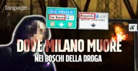“L'eroina costa 2 euro”: dentro i boschi della droga di Rogoredo e San Donato con le camere nascoste