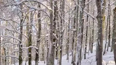 Neve a Forca d'Acero, le immagini suggestive del paesaggio imbiancato vicino Roma