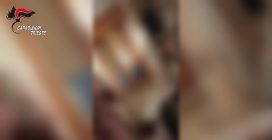 Trieste, elettricista filmava le figlie della convivente e acquisiva filmati da case altrui