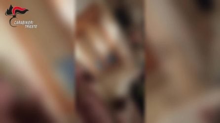 Trieste, elettricista filmava le figlie della convivente e acquisiva filmati da case altrui