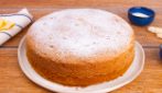 GLUTEN-FREE YOGURT CAKE: soft and fragrant!