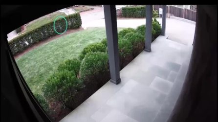 Il video dell'uomo sospettato di aver aperto il fuoco alla Brown University