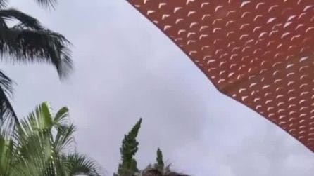 Thiago Silva spiega perché ha scelto il Porto: "Mi sono avvicinato alla mia famiglia"