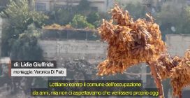 A Gerusalemme Est demolito palazzo: "Distruggono il nostro futuro perché non ci vogliono qui"