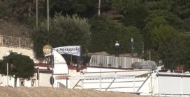 Foca monaca avvistata la vigilai di Natale a Numana