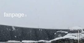 La neve a Riccione affascina anche i delfini di Oltremare 2.0 incuriositi dai fiocchi bianchi