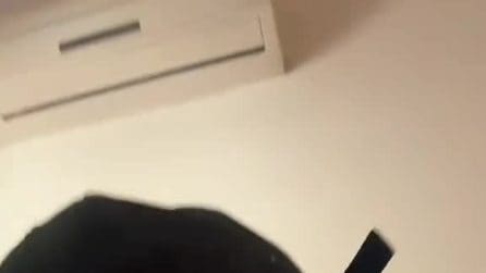 Il racconto dell'aggressione omofoba fuori da una discoteca di Genova