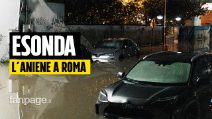 "Il fiume ha sommerso tutto": la testimonianza dei negozianti dopo l'esondazione dell'Aniene a Roma