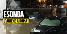 "Il fiume ha sommerso tutto": la testimonianza dei negozianti dopo l'esondazione dell'Aniene a Roma