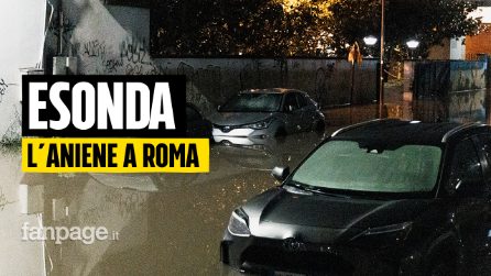 "Il fiume ha sommerso tutto": la testimonianza dei negozianti dopo l'esondazione dell'Aniene a Roma